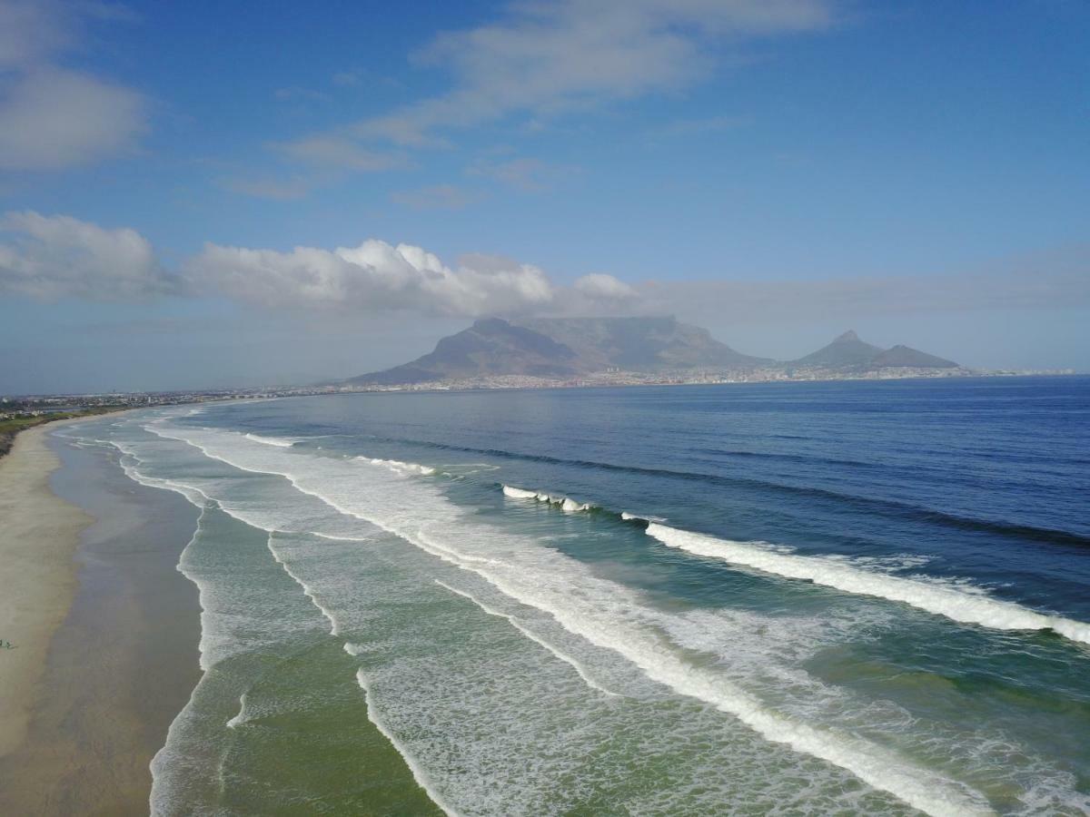 Ocean10 *